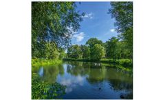 Webinar Series on Algae Control - 2025