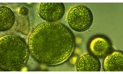 Revolutionising Technology for Managing Water Pollutants and Contaminants
