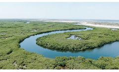 Water Monitoring & Nature-Based Solutions to Reduce Algal Blooms