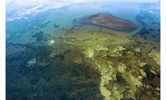 Treatments to Prevent Algal Blooms in Lakes and Reservoirs