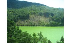 Protecting Power Plant Infrastructure from Algae-Induced Downtime