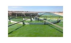 Protecting Power Plant Infrastructure from Algae-Induced Downtime