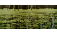 Toxic Waters: Understanding Contamination in Water Systems