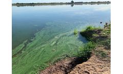 How to Resolve Lake Algae: Guide to Effective Algae Control
