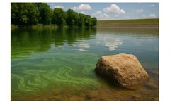 Taste and Odor in Drinking Water: Causes, Challenges, and How to Prevent It