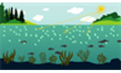 Why it is important to control algae growth