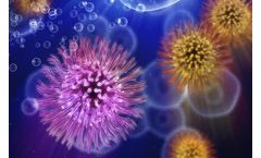 Disinfectants in the Workplace - Essential Employees Exposures