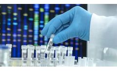 Research and Development Services