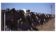 NutriSave - Forage Management System