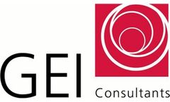 GEI Hires Eight Senior Professionals