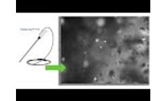 Real Time Microscopy For Particles, Crystals and Droplets