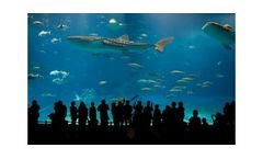 Water treatment solutions for the aquaculture & aquariums industry