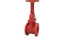 Fivalco - Model OS&Y 3299-LI-300-FLA - Gate Valve