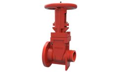 Fivalco - Model OS&Y 3299-LI-300-FG - Gate Valve