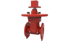 Fivalco - Model NRS 3288-LI-300-FLA - Gate Valve
