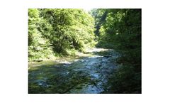 Environmental Management Consulting