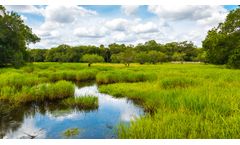 Water Resources Services