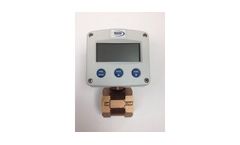 RCM Industries - Model RW3 - Digital Display Flow Meters for Liquids