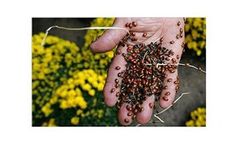 Ozone generators for pest control application