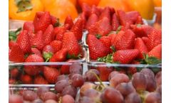 Ozone for food safety and sanitation
