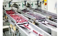 Ozone in the Food Industry