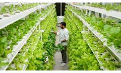 Ozone for Vertical Farming