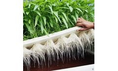 Frequently Asked Questions (FAQ) About Ozonated Water for Farms, Hydroponics, and Growers