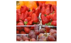 Ozone Sanitation: The Future of Food Hygiene