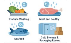 Ozone in the Food Industry: An Effective and Safe Solution