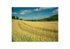 Agro Energy Consultancy For Biofuels