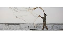 Ensuring Food Security