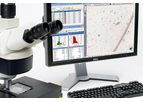 Particle Analysis Services