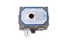Model S4000CH  - Intelligent Combustible Gas Detector