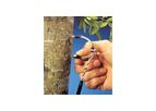 Dynamax - Model TDP - Sap Velocity - Thermal Dissipation Probe Transpiration Sensor