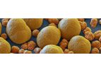 BASF - Cathode Active Materials