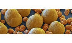 BASF - Cathode Active Materials