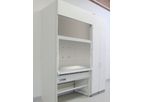 Wesemann - Model DELTAguard - Radionuclide Fume Cupboard