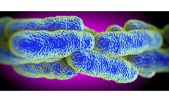 Legionella & Biofilm Control
