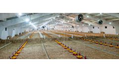 Poultry