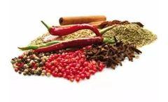 Ventilex Dryers for Food Products