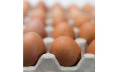 Wire mesh for packaging industry
