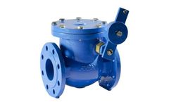 Aeon - Swing Check Valve with Lever & Weight
