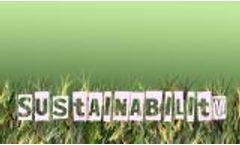 Third Party Sustainability (CSR) Report Verification