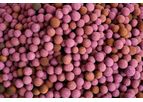 FGM - Model ALUSORB - Potassium Permanganate Impregnated Alumina