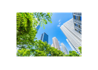 ESG Consulting Services