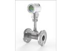 Spirax Sarco - Model VLM30 - Food+ Flowmeter