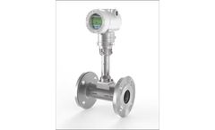 Spirax Sarco - Model VLM30 - Food+ Flowmeter