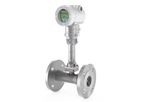 Spirax Sarco - Model SLM30-E - Swirl Flowmeter