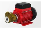 Speck - Model DS - Close-Coupled Roller Vane Pump