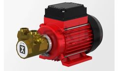 Speck - Model DS - Close-Coupled Roller Vane Pump